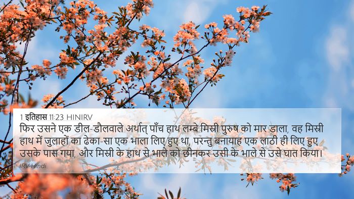 1 इतिहास 11:23 HINIRV Bible Verse Image