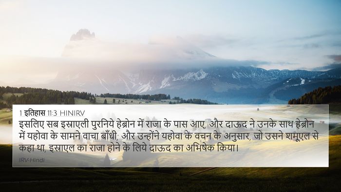 1 इतिहास 11:3 HINIRV Bible Verse Image