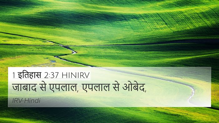 1 इतिहास 2:37 HINIRV 4K Wallpaper - जाबाद से एपलाल, - 4K Wallpaper Bible Verse
