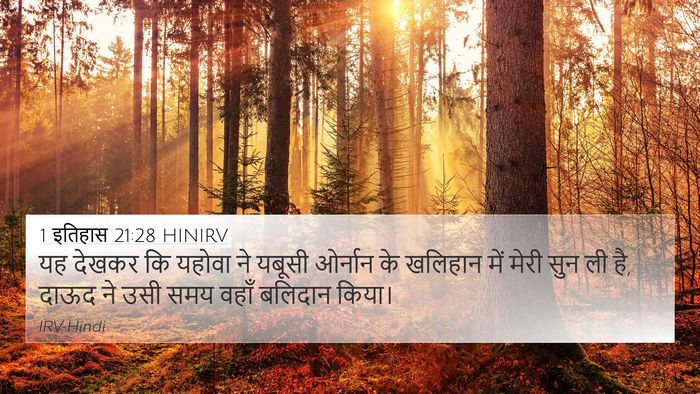 1 इतिहास 21:28 HINIRV 4K Wallpaper - यह देखकर कि यहोवा - 4K Wallpaper Bible Verse