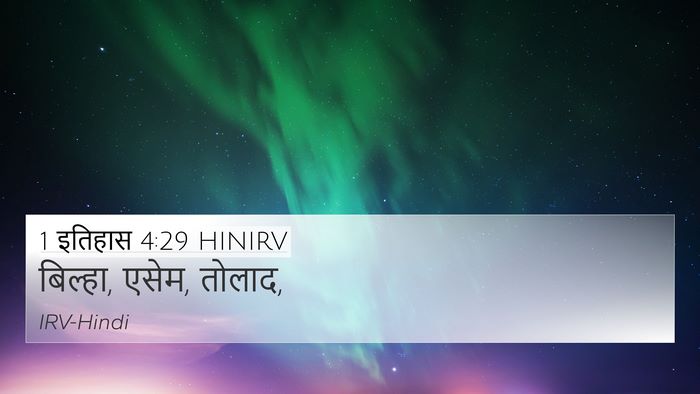 1 इतिहास 4:29 HINIRV Bible Verse Image