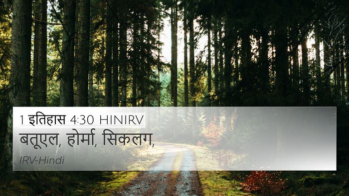 1 इतिहास 4:30 HINIRV Bible Verse Image