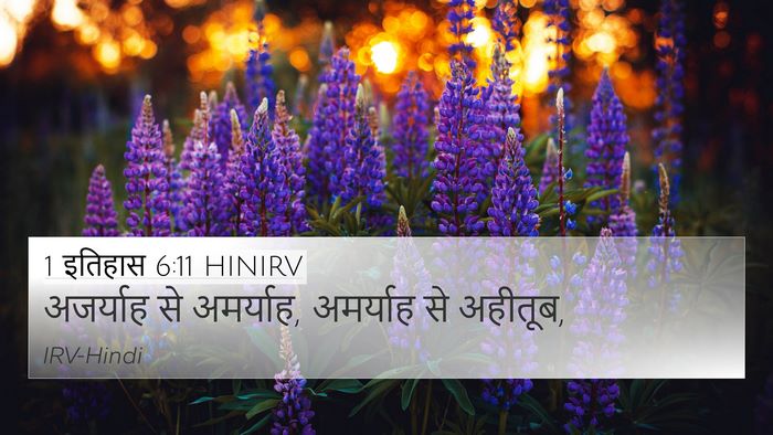 1 इतिहास 6:11 HINIRV 4K Wallpaper - अजर्याह से - 4K Wallpaper Bible Verse