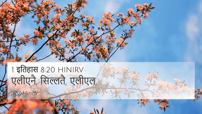 1 इतिहास 8:20 HINIRV 4K Wallpaper - एलीएनै, सिल्लतै, - 4K Wallpaper Bible Verse