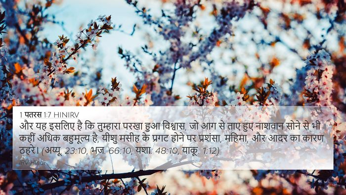 1 पतरस 1:7 HINIRV Bible Verse Image