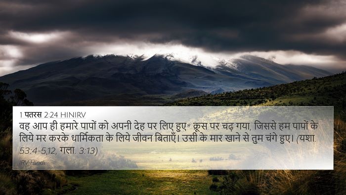1 पतरस 2:24 HINIRV Bible Verse Image