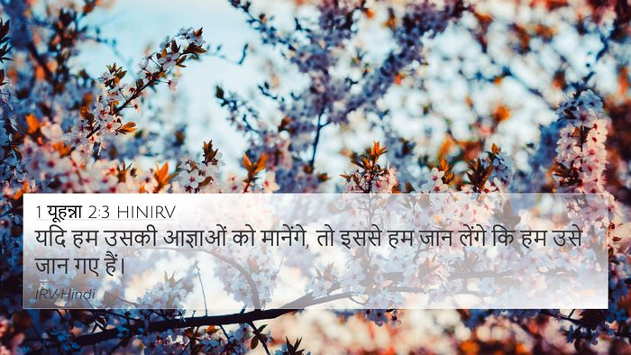 1 यूहन्ना 2:3 HINIRV 4K Wallpaper - यदि हम उसकी - 4K Wallpaper Bible Verse