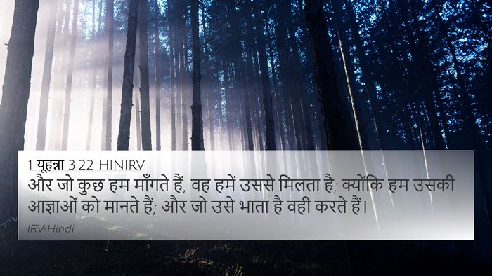 1 यूहन्ना 3:22 HINIRV Bible Verse Image