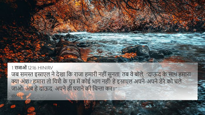 1 राजाओं 12:16 HINIRV Bible Verse Image