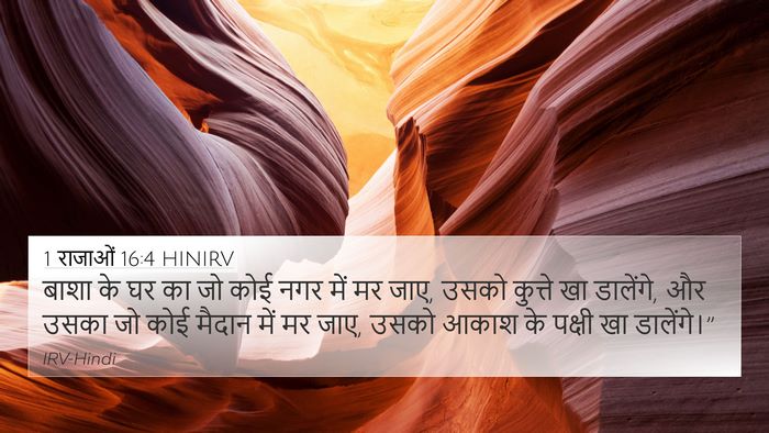 1 राजाओं 16:4 HINIRV Bible Verse Image
