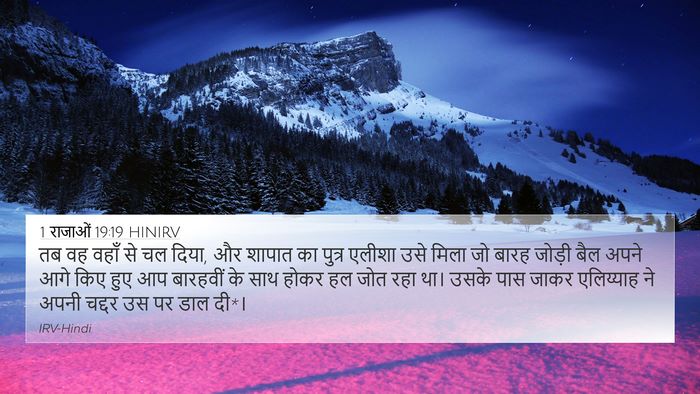 1 राजाओं 19:19 HINIRV Bible Verse Image