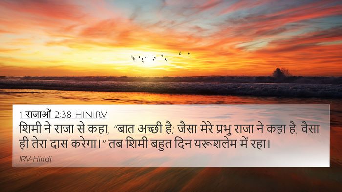 1 राजाओं 2:38 HINIRV 4K Wallpaper - शिमी ने राजा से - 4K Wallpaper Bible Verse
