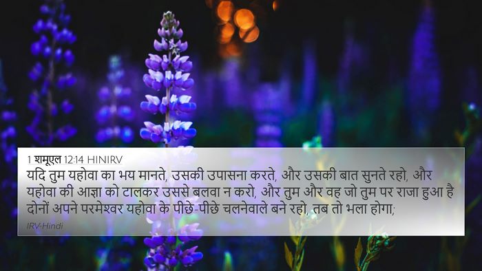 1 शमूएल 12:14 HINIRV Bible Verse Image