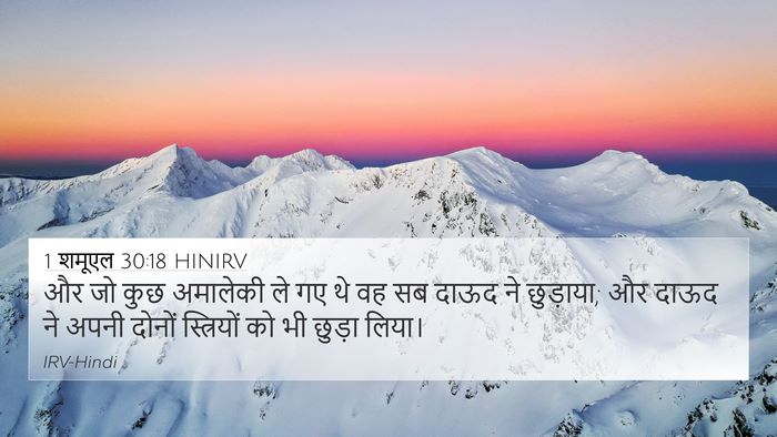1 शमूएल 30:18 HINIRV Bible Verse Image