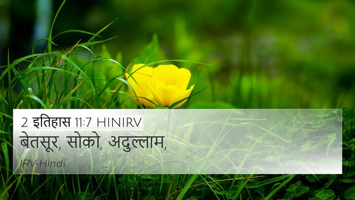 2 इतिहास 11:7 HINIRV Bible Verse Image