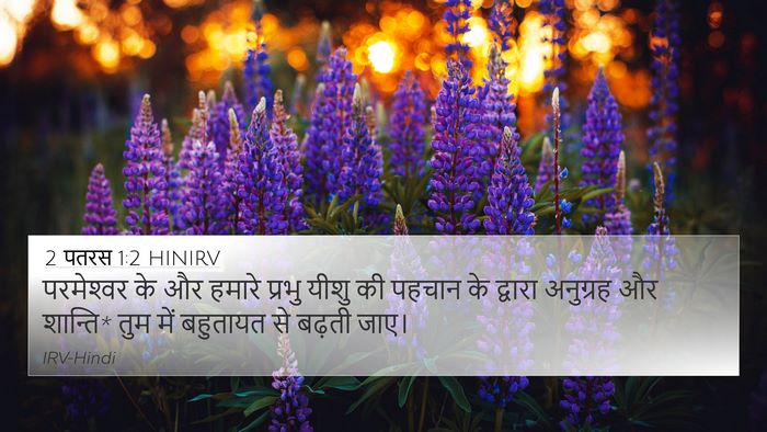 2 पतरस 1:2 HINIRV Bible Verse Image