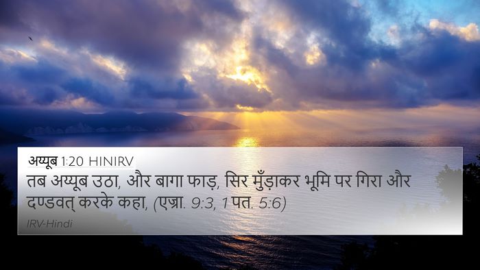अय्यूब 1:20 HINIRV Bible Verse Image