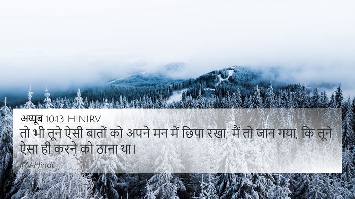 अय्यूब 10:13 HINIRV 4K Wallpaper - तो भी तूने ऐसी - 4K Wallpaper Bible Verse