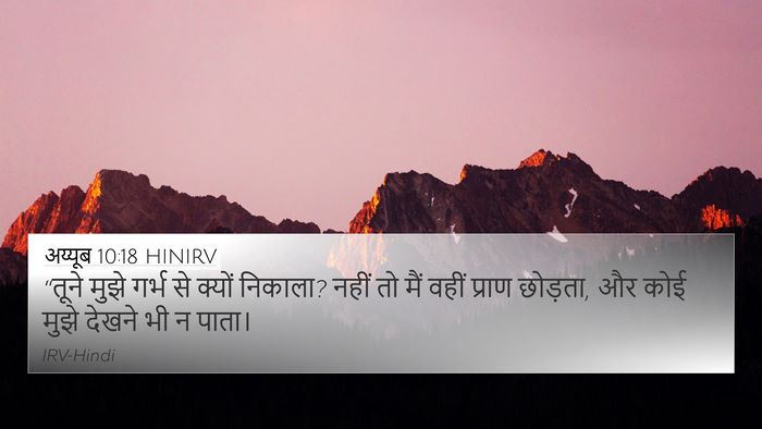 अय्यूब 10:18 HINIRV Bible Verse Image