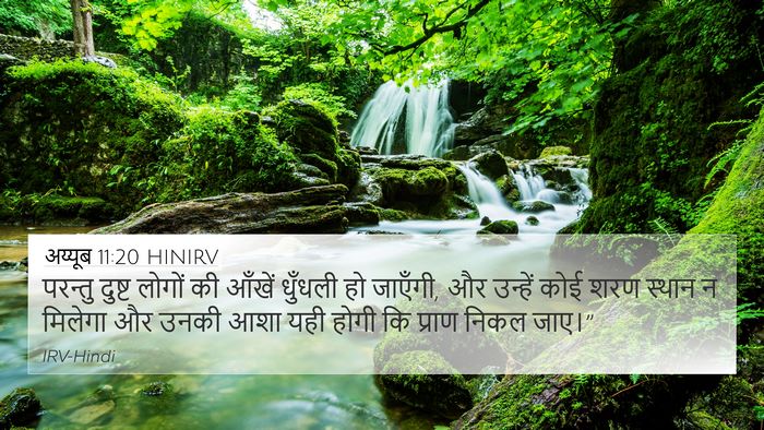 अय्यूब 11:20 HINIRV Bible Verse Image