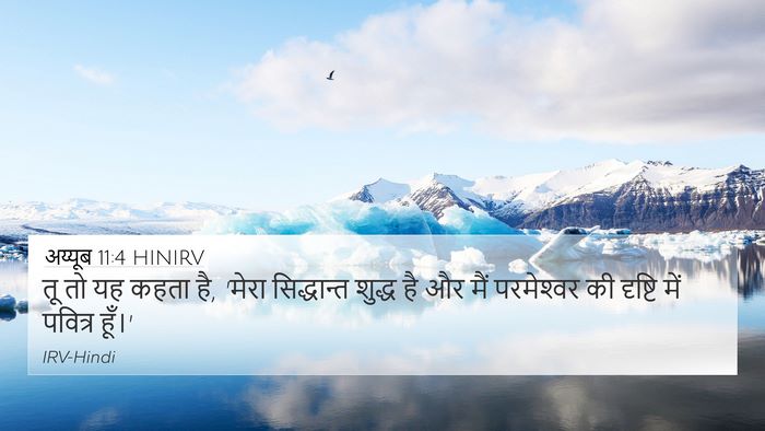अय्यूब 11:4 HINIRV Bible Verse Image