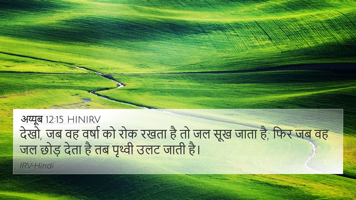 अय्यूब 12:15 HINIRV Bible Verse Image