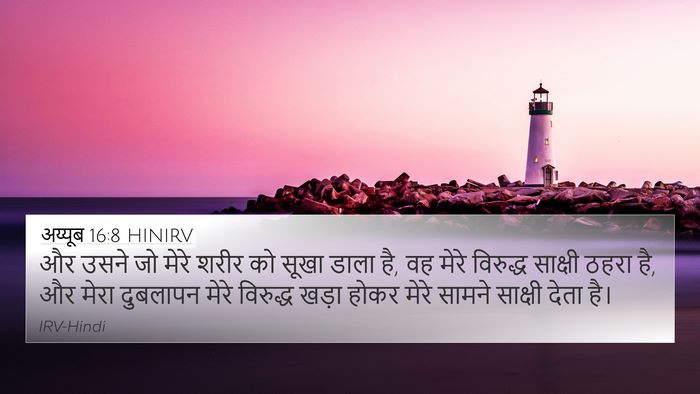 अय्यूब 16:8 HINIRV Bible Verse Image