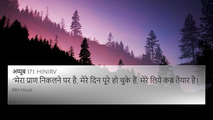 अय्यूब 17:1 HINIRV Bible Verse Image