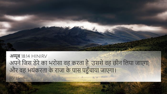 अय्यूब 18:14 HINIRV Bible Verse Image