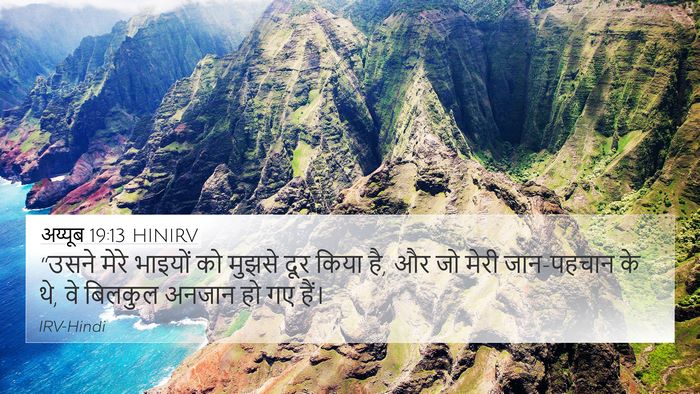 अय्यूब 19:13 HINIRV Bible Verse Image