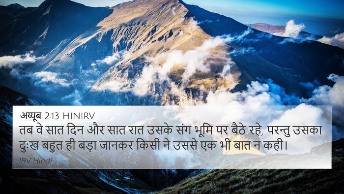 अय्यूब 2:13 HINIRV Bible Verse Image