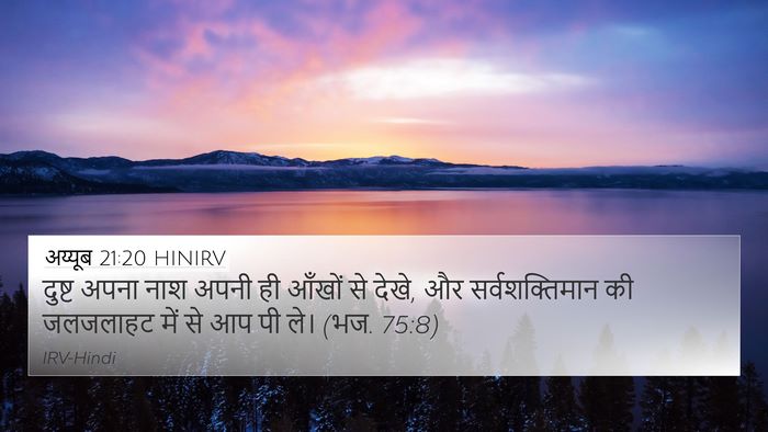 अय्यूब 21:20 HINIRV Bible Verse Image