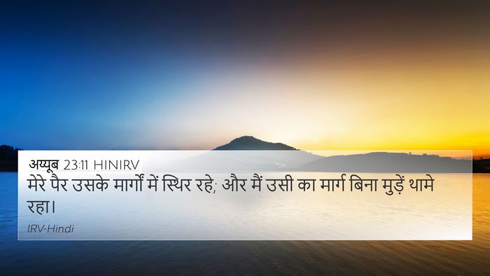 अय्यूब 23:11 HINIRV Bible Verse Image