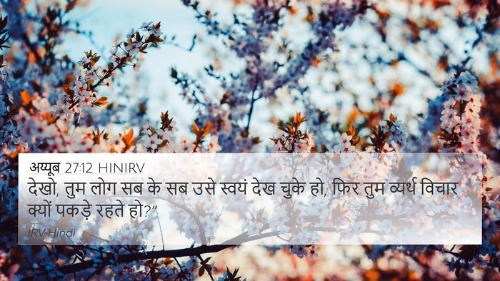 अय्यूब 27:12 HINIRV 4K Wallpaper - देखो, तुम लोग सब के - 4K Wallpaper Bible Verse