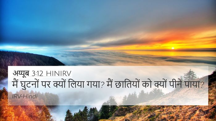 अय्यूब 3:12 HINIRV 4K Wallpaper - मैं घुटनों पर - 4K Wallpaper Bible Verse