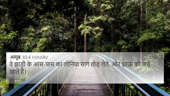 अय्यूब 30:4 HINIRV 4K Wallpaper - वे झाड़ी के आस-पास - 4K Wallpaper Bible Verse