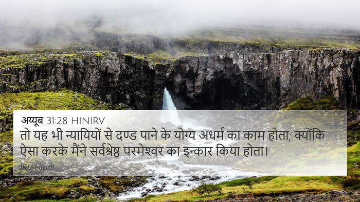 अय्यूब 31:28 HINIRV Bible Verse Image