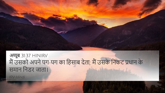 अय्यूब 31:37 HINIRV Bible Verse Image