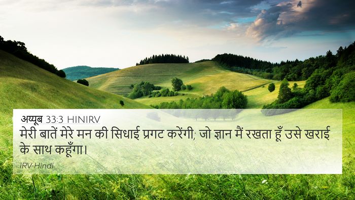 अय्यूब 33:3 HINIRV Bible Verse Image
