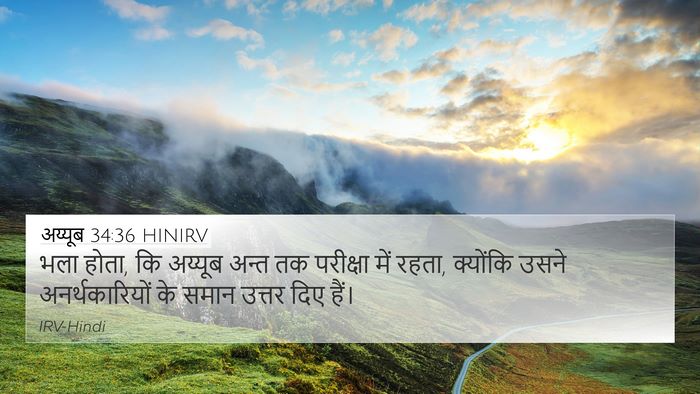 अय्यूब 34:36 HINIRV Bible Verse Image