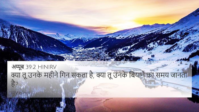 अय्यूब 39:2 HINIRV 4K Wallpaper - क्या तू उनके महीने - 4K Wallpaper Bible Verse