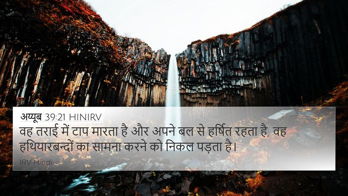 अय्यूब 39:21 HINIRV Bible Verse Image