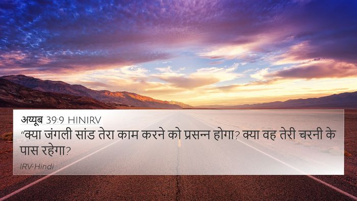 अय्यूब 39:9 HINIRV Bible Verse Image