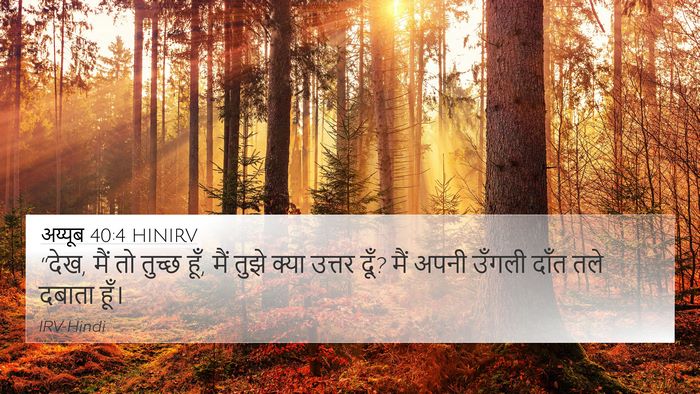अय्यूब 40:4 HINIRV Bible Verse Image