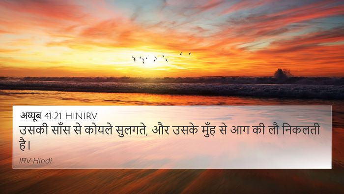 अय्यूब 41:21 HINIRV Bible Verse Image
