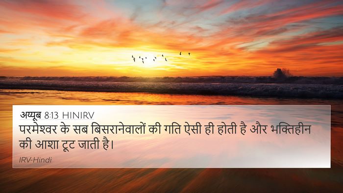 अय्यूब 8:13 HINIRV Bible Verse Image