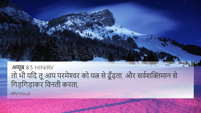अय्यूब 8:5 HINIRV Bible Verse Image