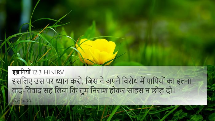 इब्रानियों 12:3 HINIRV Bible Verse Image