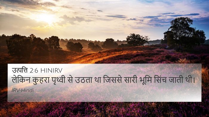उत्पत्ति 2:6 HINIRV 4K Wallpaper - लेकिन कुहरा - 4K Wallpaper Bible Verse