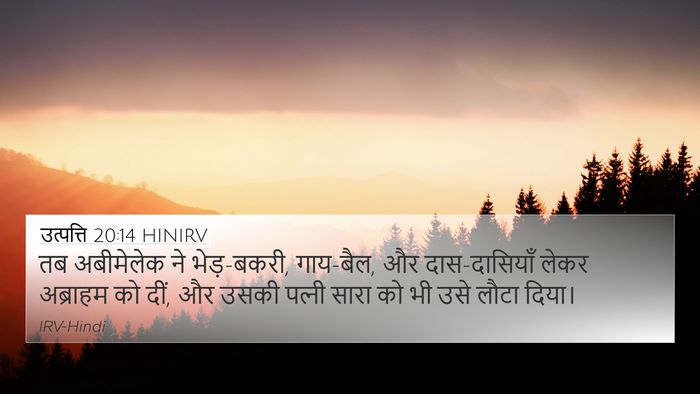उत्पत्ति 20:14 HINIRV 4K Wallpaper - तब अबीमेलेक ने - 4K Wallpaper Bible Verse